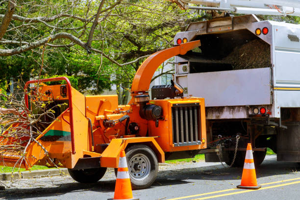 Best Commercial Tree Services  in Hudson Lake, IN